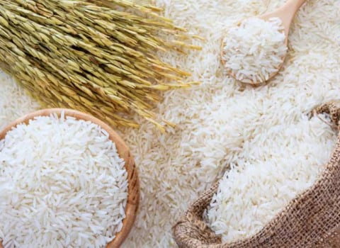 قیمت برنج شمال تبریز با کیفیت ارزان + خرید عمده